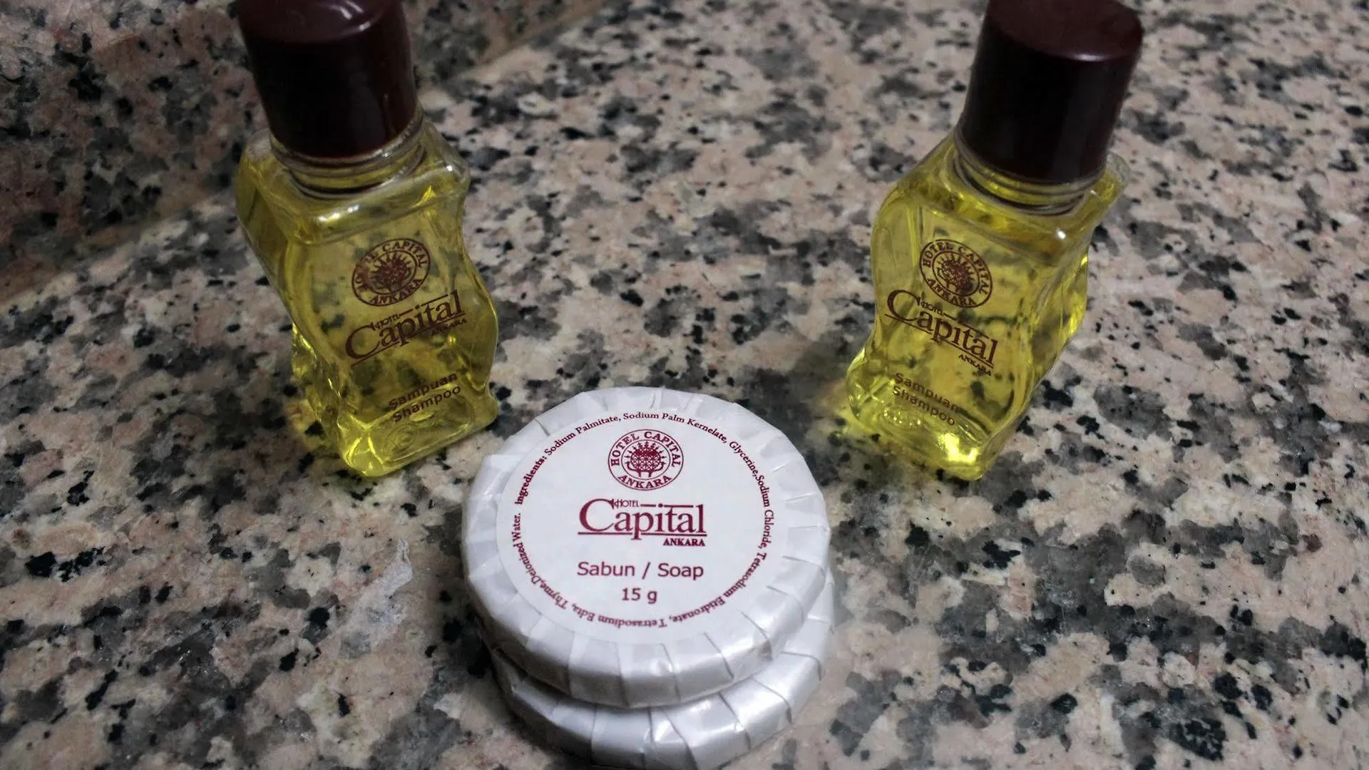 Ankara Capital Otel מלון